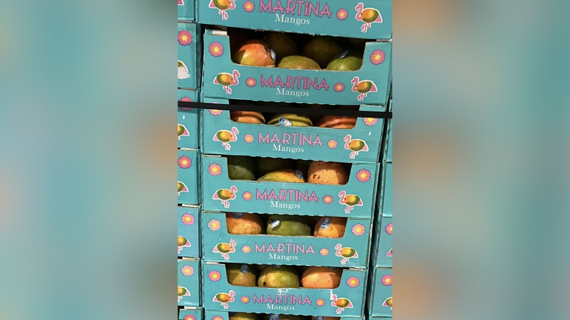 Recall issued for this mango brand due to possible Salmonella contamination specific real-world editorial scene